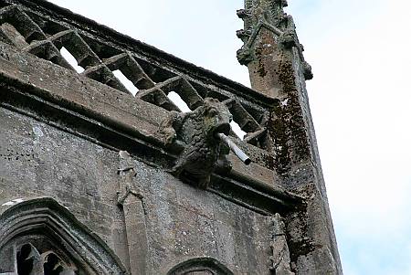 Shepton Mallet - Gargoyle